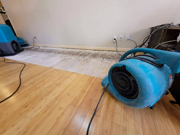 Professional Water Removal technician working in Montague, TX